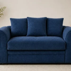 Dylan Sofa - Luxury 2 Seater Dylan Sofa - Dylan Luxury Sofa – Elegant 2 Seater Sofa for Home