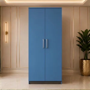 Blue 2 Door Wooden Wardrobe - Modern Bedroom Storage Cabinet