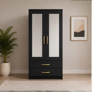 Luxury 2 Door Mirrored Wardrobe with Storage Drawers with Black colors - Premium Two Door Bedroom Wardrobe with 2 Drawers