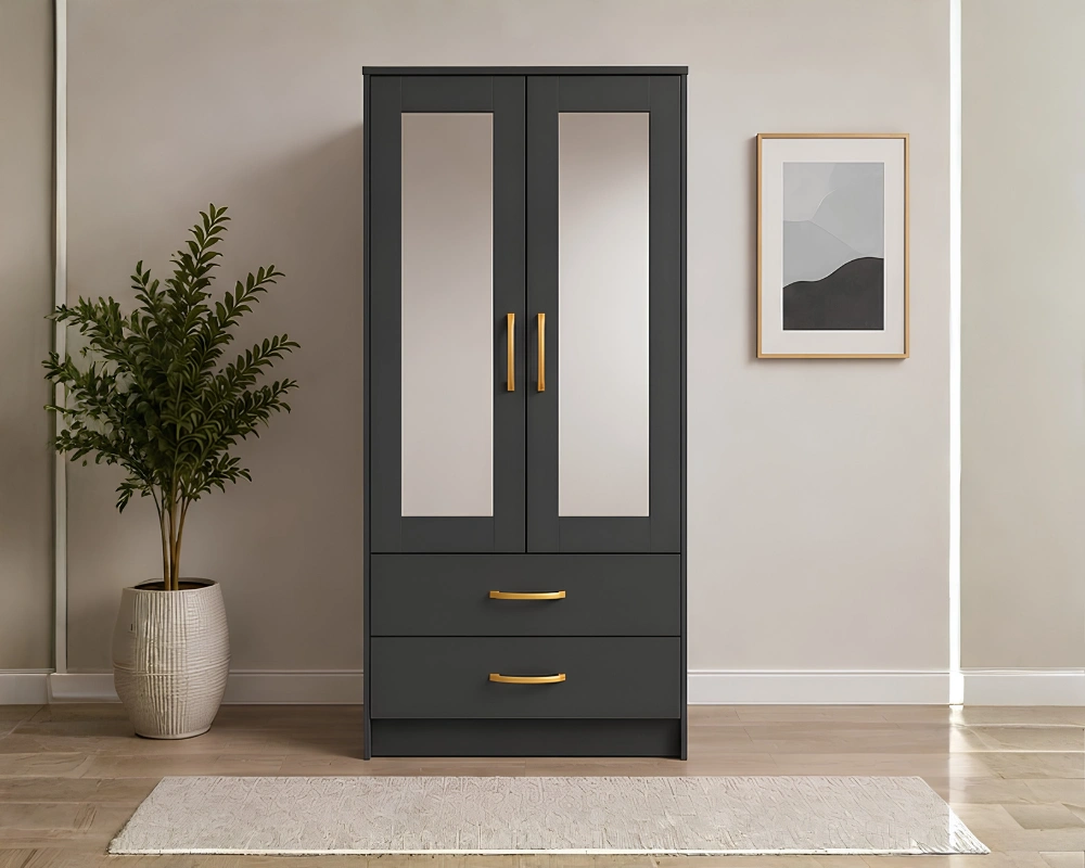 Bedroom Storage Wardrobe with Half Mirror Design - Smart Storage Two Door Wardrobe with Mirrors